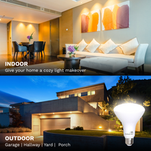 Bioluz LED BR30 LED Flood Light Bulbs