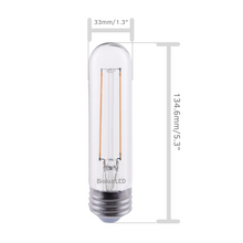 Bioluz LED T10 Dimmable LED Filament Bulb