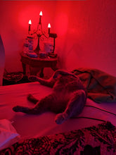 Customer photo of Bioluz LED candelabra bulbs in use