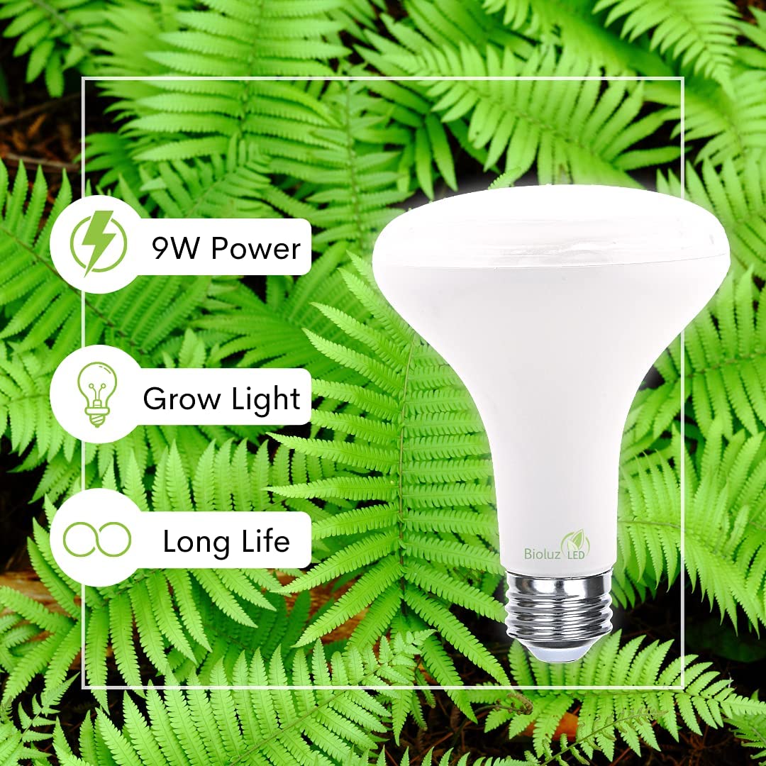 led flood lights for growing plants Bioluz 9W LED Energy Saving Indoor Grow Light, 3000k (2 Count)