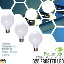 Bioluz LED G25 Vanity Frosted LED Globe