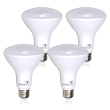 Bioluz LED BR30 LED Flood Light Bulbs