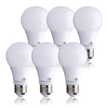 Bioluz LED A19 40 Watt LED Light Bulbs Non Dimmable