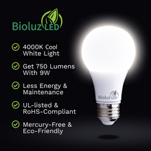 Bioluz LED 60 Watt LED Light Bulbs Non Dimmable