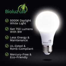 Bioluz LED 60 Watt LED Light Bulbs Non Dimmable